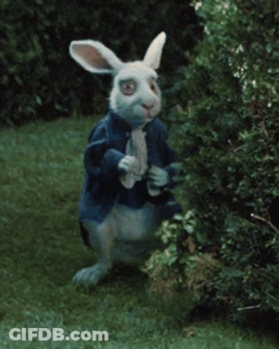 A Blurry Picture Of A White Rabbit Wearing A Blue Dress GIF