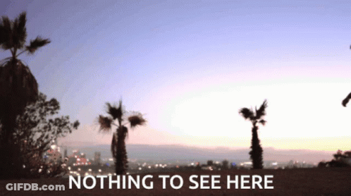 A Blurry Picture Of Palm Trees With The Words Nothing To See Here Above Them GIF