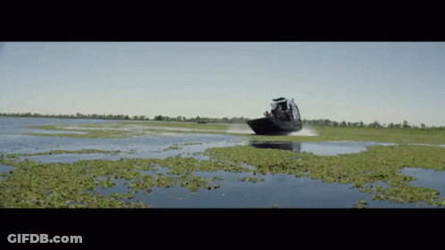 A Boat Is Going Through A Swamp With A Lot Of Plants GIF