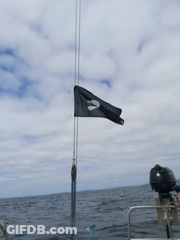 A Boat With A Suzuki Outboard Motor Is In The Ocean GIF