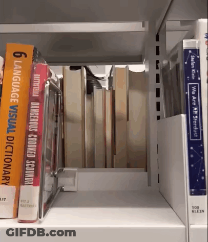 A Book Called 6 Language Visual Dictionary Sits On A Shelf With Other Books GIF