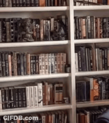 A Bookshelf Filled With Lots Of Books Including One That Says ' I 'M Not A Fan ' GIF