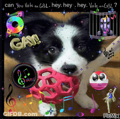 A Border Collie Puppy Is Playing With A Pink Ball And The Words Can You Vote On Gbl Hey Hey Hey Hey Vote On Gbl GIF