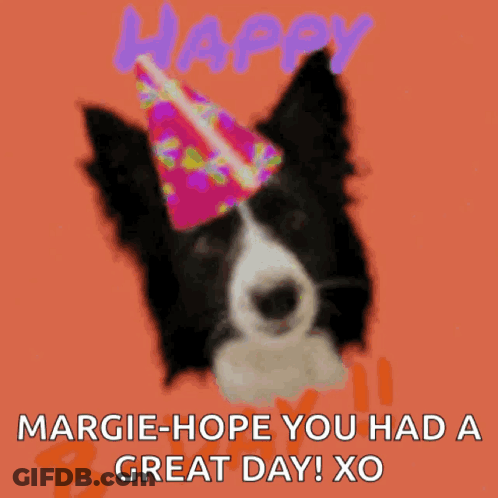 A Border Collie Wearing A Party Hat With The Words Happy B-Day GIF
