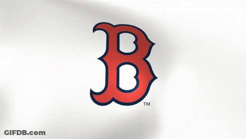 A Boston Red Sox Logo Is On A White Cloth GIF