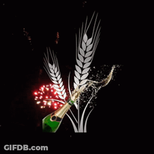 A Bottle Of Champagne Is Being Poured Into A Bottle Of Wheat With Fireworks In The Background GIF