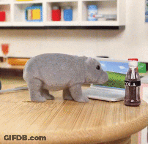 A Bottle Of Cola Sits Next To A Stuffed Animal On A Table GIF