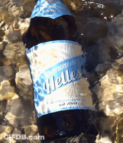 A Bottle Of Helles Sits In A River GIF