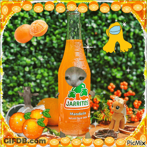 A Bottle Of Jarritos Mandarin Natural Flavor Soda Surrounded By Oranges GIF