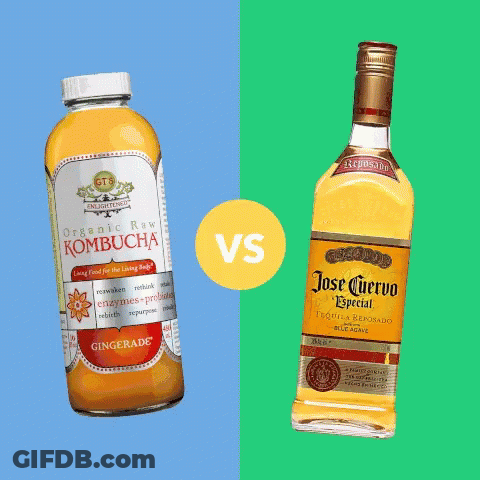 A Bottle Of Kombucha Sits Next To A Bottle Of Jose Cuervo Tequila GIF