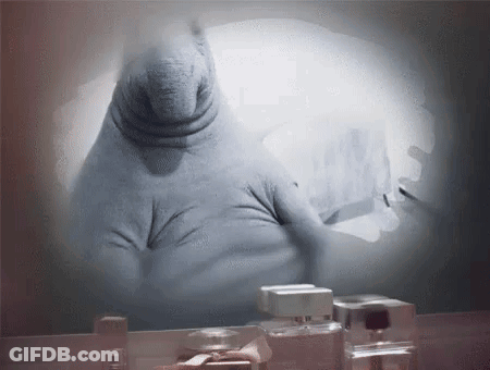 A Bottle Of Perfume Sits In Front Of A Mirror With A Reflection Of A Seal GIF