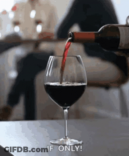 A Bottle Of Wine Is Being Poured Into A Wine Glass With The Caption If Only GIF