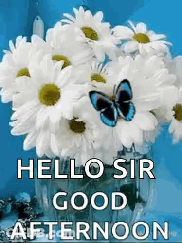 A Bouquet Of Daisies In A Vase With A Butterfly On It . GIF
