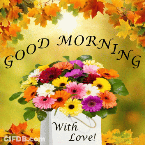 A Bouquet Of Flowers In A White Bag With The Words " Good Morning With Love " GIF