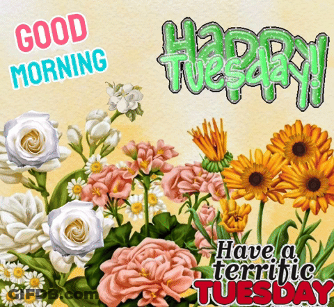 A Bouquet Of Flowers With The Words Good Morning Happy Tuesday GIF
