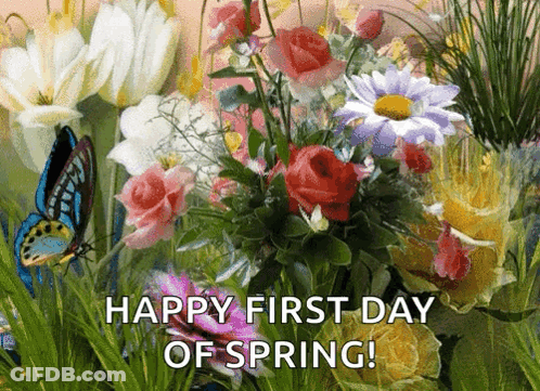 A Bouquet Of Flowers With The Words Happy First Day Of Spring Written On It GIF