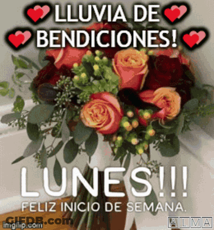 A Bouquet Of Flowers With The Words Lunes Feliz Inicio De Semana In Spanish GIF