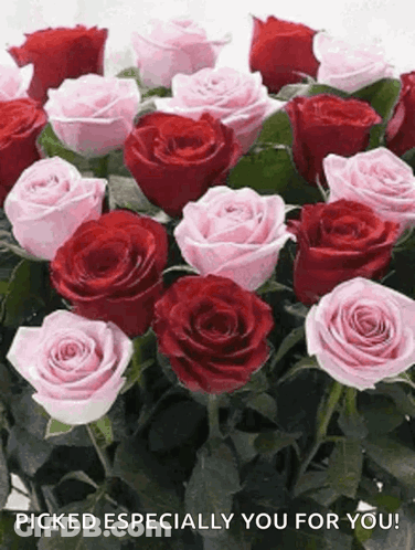 A Bouquet Of Pink And Red Roses With The Words Picked Especially You For You GIF