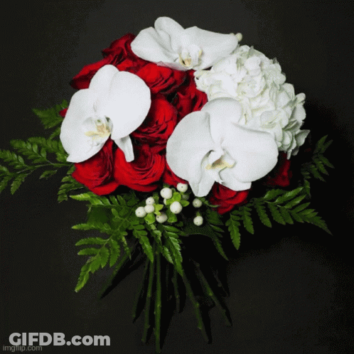 A Bouquet Of Pink And White Flowers With A Grace Favour Ribbon GIF