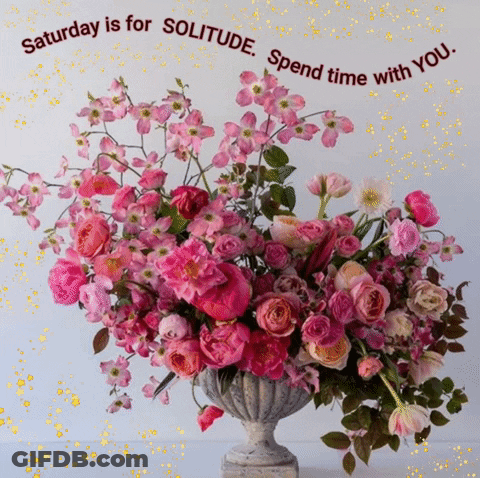 A Bouquet Of Pink Flowers In A Vase With A Quote That Says Saturday Is For Solitude Spend Time With You GIF