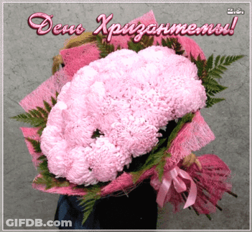 A Bouquet Of Pink Flowers Is Wrapped In Pink Paper And Has The Words " Dens Xpizarmens " On The Bottom GIF