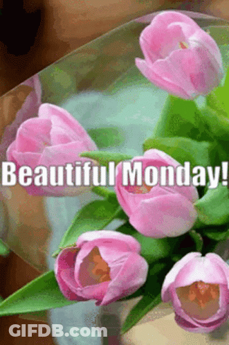A Bouquet Of Pink Flowers With The Words Beautiful Monday Written Below Them GIF