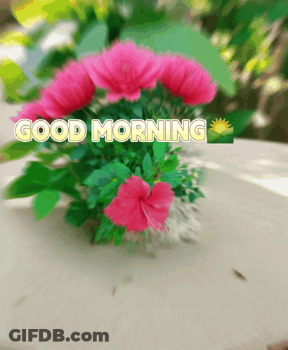 A Bouquet Of Pink Flowers With The Words Good Morning Written Above Them GIF