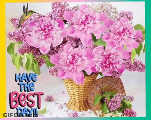 A Bouquet Of Pink Flowers With The Words Have The Best Day GIF