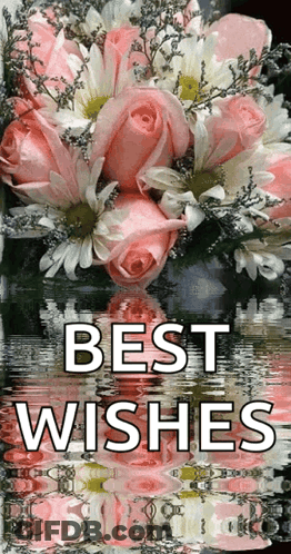 A Bouquet Of Pink Roses And Daisies With The Words " Best Wishes " On The Bottom GIF