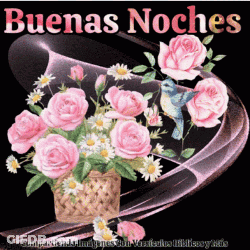 A Bouquet Of Pink Roses And Daisies With The Words Buenas Noches Above GIF