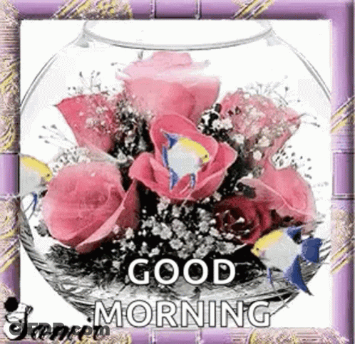 A Bouquet Of Pink Roses And Fish In A Glass Bowl With The Words `` Good Morning '' . GIF