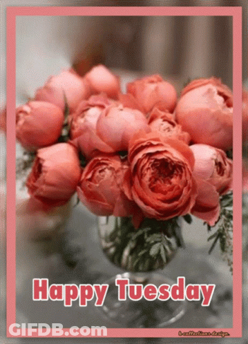 A Bouquet Of Pink Roses In A Vase With The Words Happy Tuesday GIF