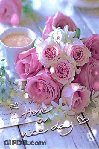 A Bouquet Of Pink Roses Sits Next To A Cup Of Coffee And A Card That Says Have A Nice Day GIF