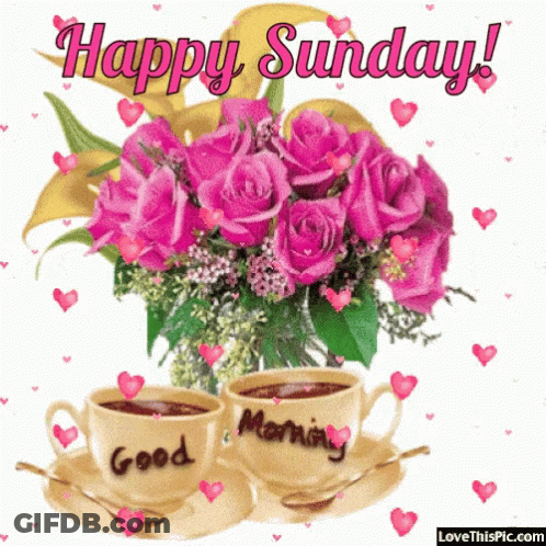 A Bouquet Of Pink Roses Sits Next To Two Cups Of Coffee And Saucers That Say Good Morning GIF