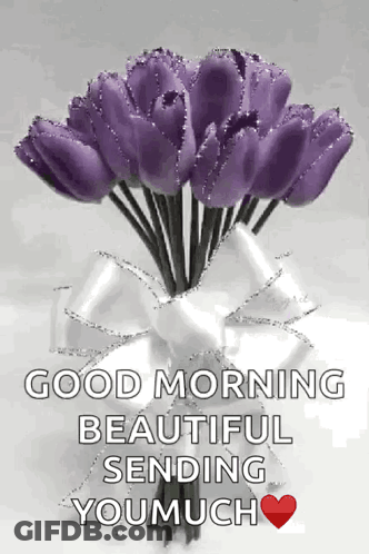 A Bouquet Of Purple Flowers In A White Vase With A Bow And The Words Good Morning Beautiful Sending You Much GIF