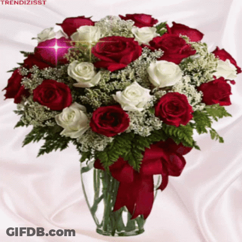 A Bouquet Of Red And White Roses In A Vase With The Words Trendizisst On The Bottom GIF