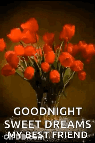 A Bouquet Of Red Flowers In A Vase With The Words `` Goodnight Sweet Dreams My Best Friend '' GIF