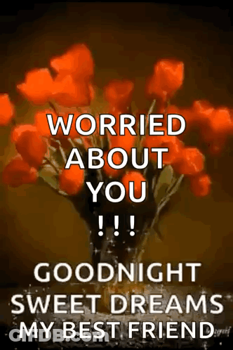 A Bouquet Of Red Flowers In A Vase With The Words `` Worried About You !!! '' Goodnight Sweet Dreams My Best Friend . GIF