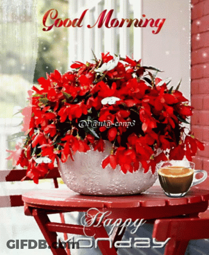 A Bouquet Of Red Flowers Sits On A Table Next To A Cup Of Coffee And The Words Good Morning Happy Monday GIF