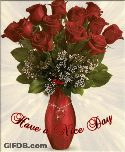 A Bouquet Of Red Roses In A Red Vase With The Words Have A Nice Day Above It GIF