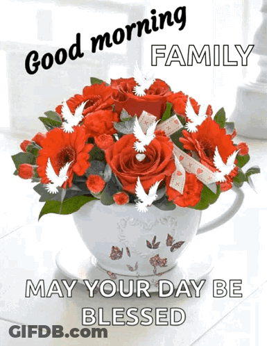 A Bouquet Of Red Roses In A White Cup With The Words " May Your Day Be Blessed " GIF
