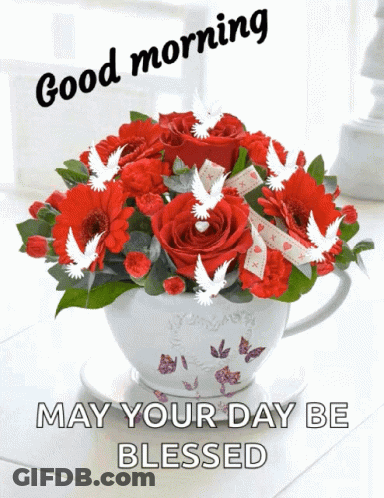 A Bouquet Of Red Roses In A White Cup With The Words " May Your Day Be Blessed " GIF