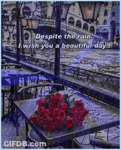 A Bouquet Of Red Roses Sits On A Table In The Rain With The Words " Despite The Rain I Wish You A Beautiful Day " GIF
