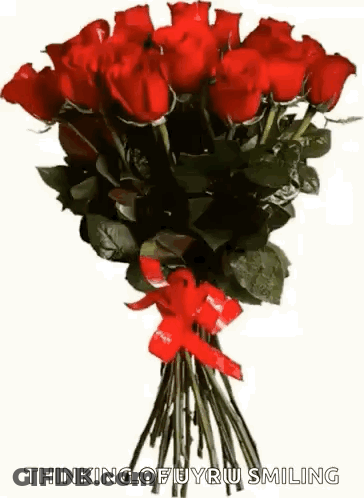 A Bouquet Of Red Roses With A Red Ribbon On A White Background GIF