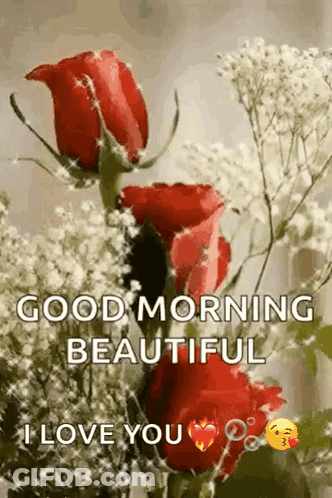 A Bouquet Of Red Roses With Baby 'S Breath And The Words `` Good Morning Beautiful '' GIF