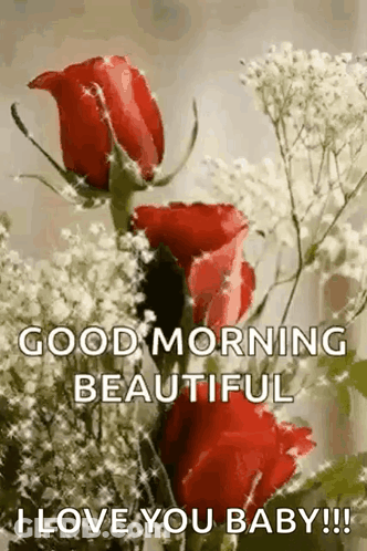 A Bouquet Of Red Roses With Baby 'S Breath On Them And The Words `` Good Morning Beautiful I Love You Baby '' . GIF