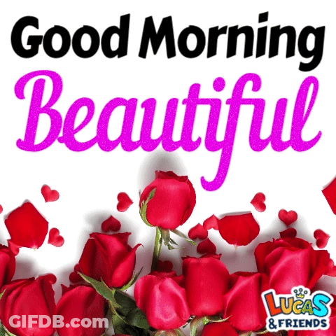 A Bouquet Of Red Roses With The Words Good Morning Beautiful Above Them GIF