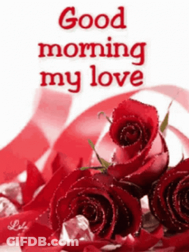 A Bouquet Of Red Roses With The Words `` Good Morning My Love '' GIF