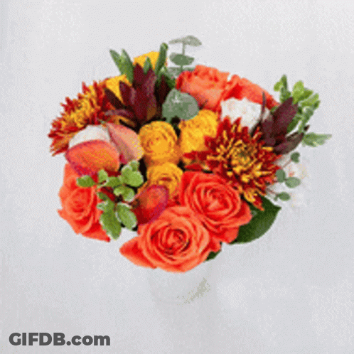 A Bouquet Of Red , White And Purple Flowers On A White Surface . GIF