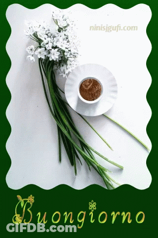 A Bouquet Of White Flowers And A Cup Of Coffee On A Saucer With The Words Buongiorno Below It GIF